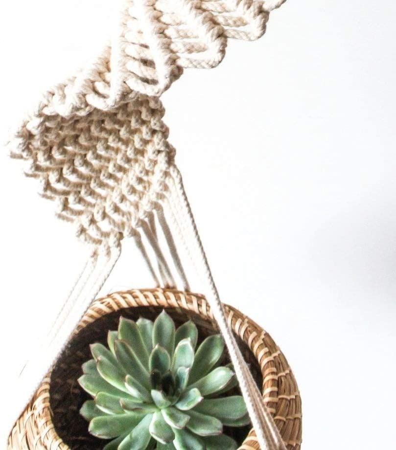 Twist and Turn stylish Plant Hanger